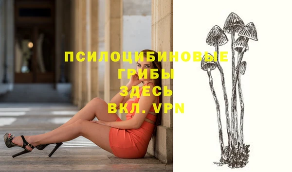 ешки Нязепетровск